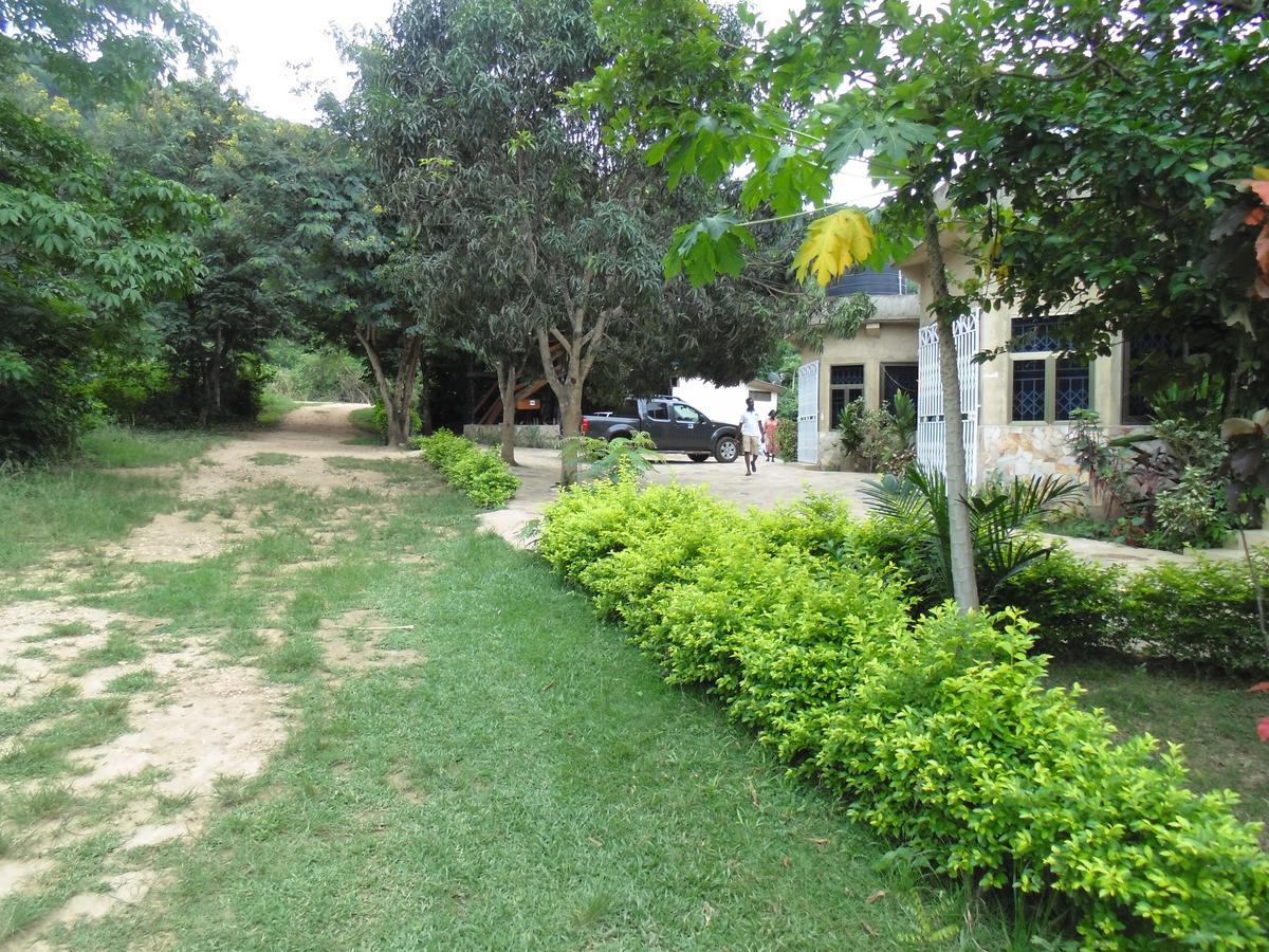 Wli Water Heights Hotel Wli Afegame Extérieur photo